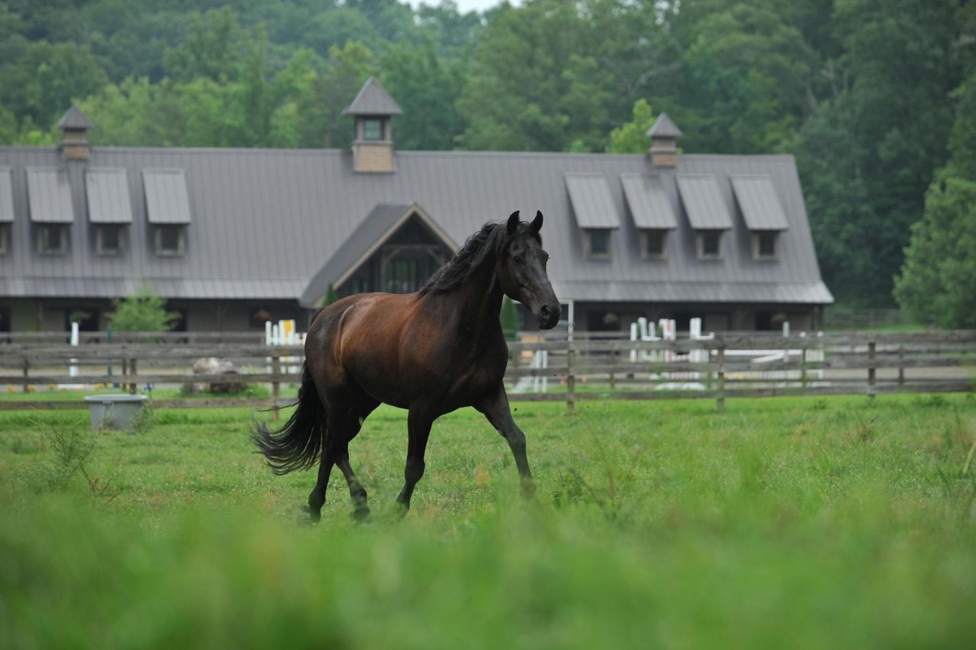 Hawks View With Fireplace Pet Friendly * Mill Spring